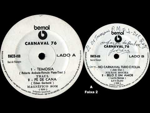 Carnaval S.J. Del Rei 1976 - Pé de Cana