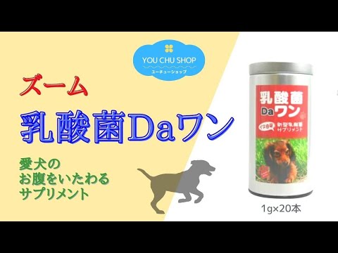 犬のためのプロバイオティクス