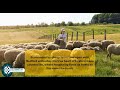 Discover Bedford South Africa Hidden Gem Of The Eastern Cape Clicknetsa Travel