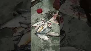 Download lagu bajare sob Mac barite🥰 mp3