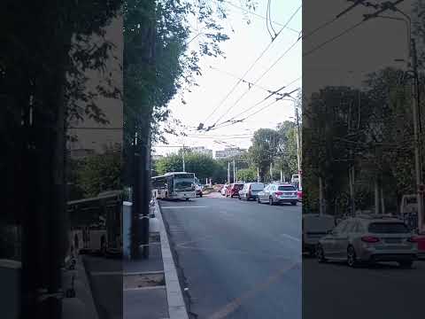 Linia 243  "Racovița" MERCEDES CITARO C1  Sofer de milioane #special #youtubeshorts   #243 #4776