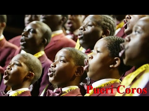 Boys Choir of Harlem, Niños Cantores, Singing Boys