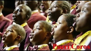 Boys Choir of Harlem, Niños Cantores, Singing Boys