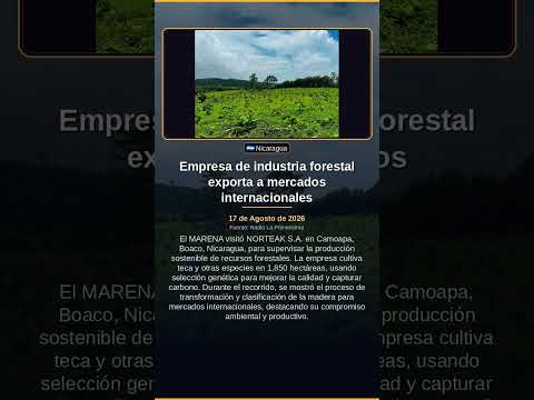 Empresa de industria forestal exporta a mercados internacionales