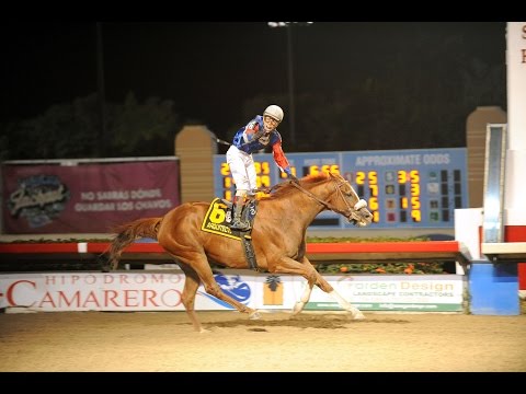 ARQUITECTO - Copa Confraternidad 2016