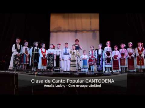 Amalia Ludvig - Cine m-auge cântând