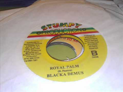 Blacka Demus-Royal Palm