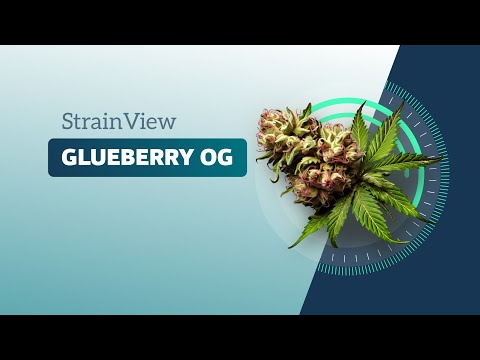 Glueberry OG - StrainView
