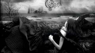 Opeth - Hope Leaves (Instrumental Cover by Erik Bedzuh)