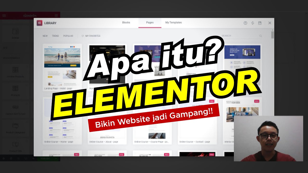Apa itu Plugin Wordpress Elementor Pro dan Fungsinya