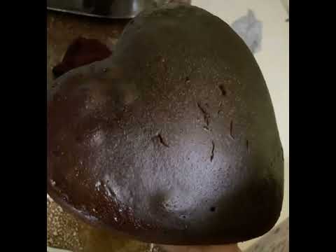 chocolate cake 😋😋😋😋#shorts #short  #shortvideo #shortsfeed  #shortsviral  #dubai #uae