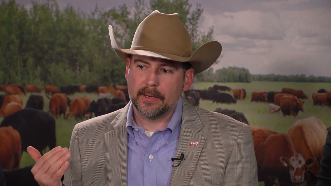 The Beef x Dairy Evolution