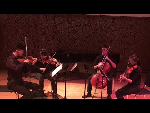 Stephan Koncz, A NEW SATIESFACTION (feat  Gymnopedie No 1)