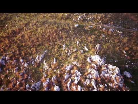 SAVIO ARTESI - So cose ca succedono (Video ufficiale)