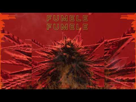 Baja Locos // 2611 Familia - Fúmele Fúmele (Audio Oficial) [Beat x LEIRBAG]