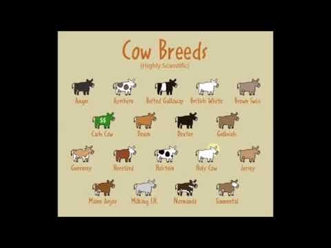 Disney's Magic English Theme 22 Country Life