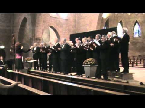 Muziekestafette 2011 - Heino's Mannenkoor