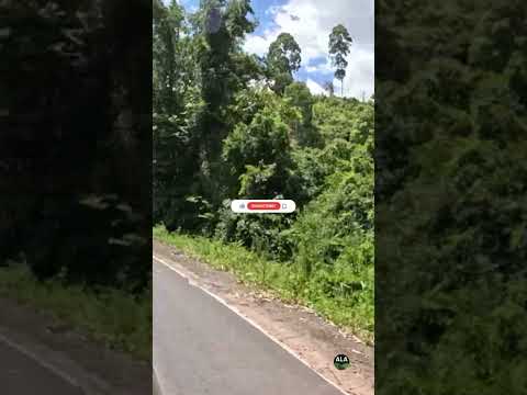 Um meteorito caiu em Putinga #turismo #patrimonionacional #travel #nature  #curiosidadeshistoricas