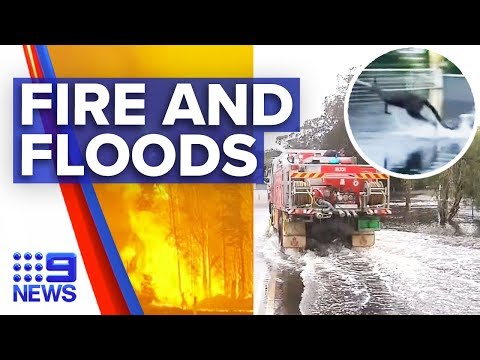 Fire-hit South Coast communities now flooding | Nine News Australia