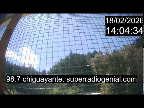 Chiguayante Bio Bio Chile, en Vivo. Live Cam, Camara en vivo.