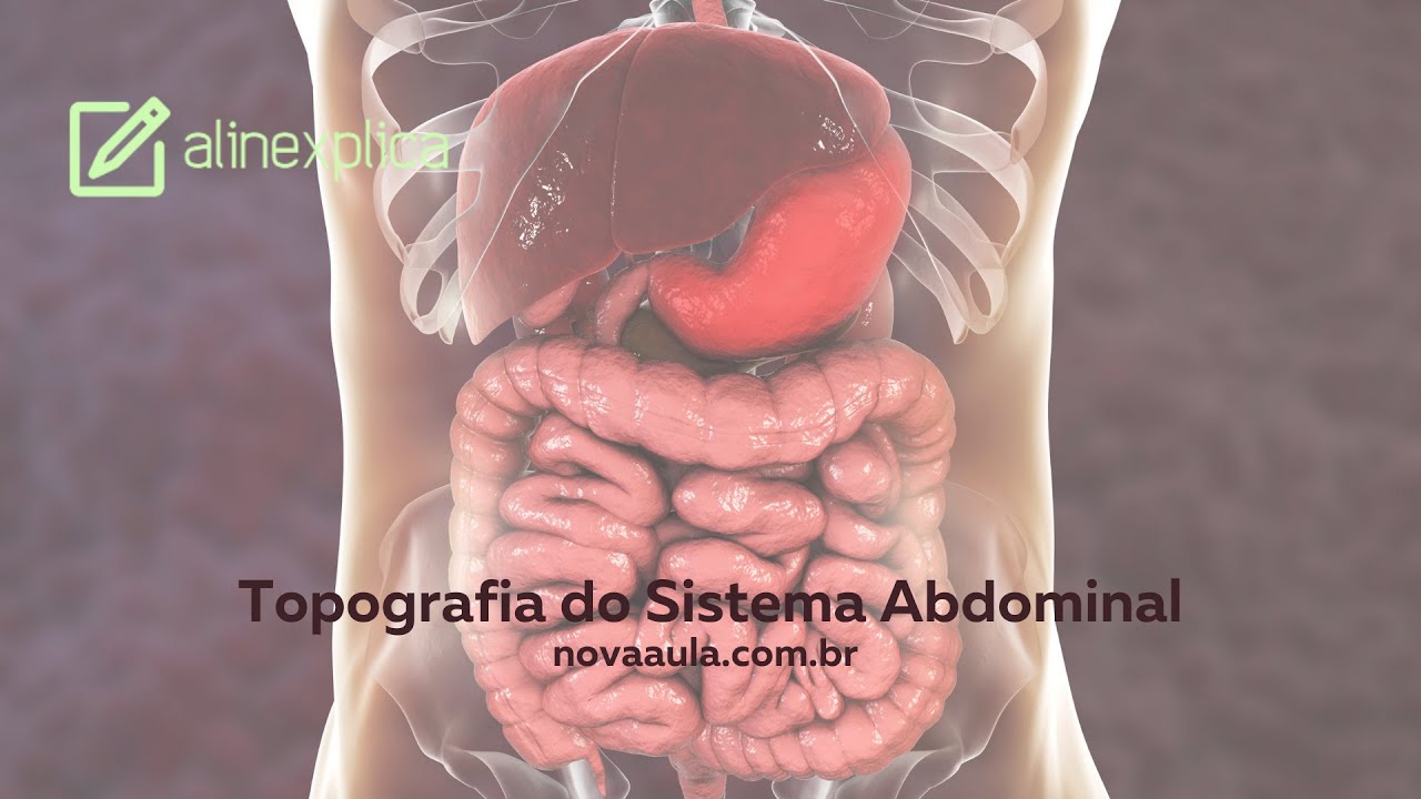 Topografia Abdominal