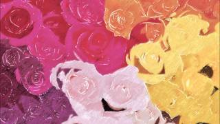 paul armfield - misty roses