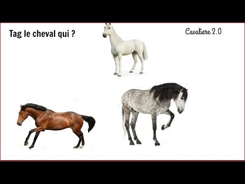 (Tag n°1) avec quelle cheval...