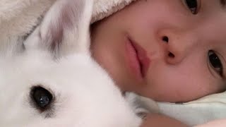 日本で一緒に暮らしていた山小屋犬イッチの話