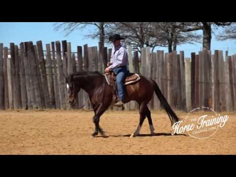 Instantly Improve Your Horse's Lope