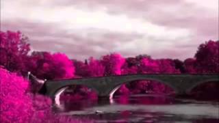 India  Roberto Carlos