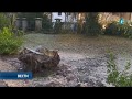 Pančevo Uhapšen 17 Ogodišnjak Zbog Ubistva 16 Godišnjaka