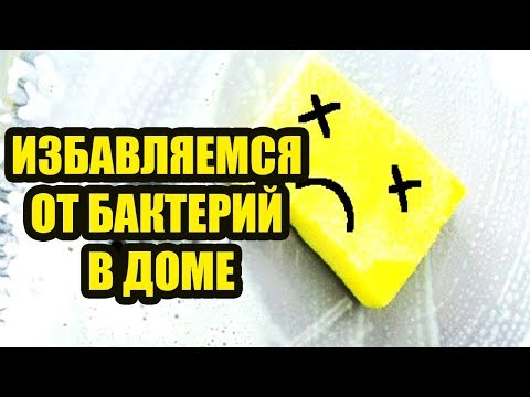 Всегда чистый дом. Просто Меняйте чаще эти бытовые предметы рассадники бактерий   и жизнь станет чищ