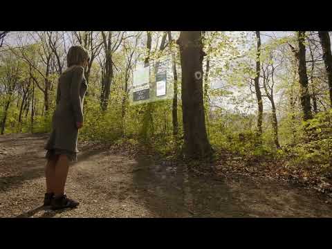 East County VR Presents Augmented Reality Nature Experiences