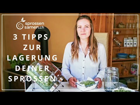 3 Tipps zur optimalen Lagerung deiner Sprossen- so halten sich Sprossen bis zu 2 Wochen lang frisch!