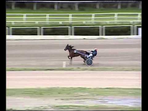 Trotto 05/02/2015 - 2° Prova di qualifica