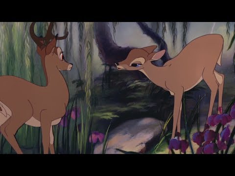 Bambi - Bambi finds Faline (HD)