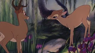 Bambi - Bambi finds Faline (HD)