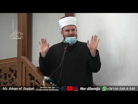 A TI OBRADUJ STRPLJIVE - hfz. Adnan ef. Dupljak