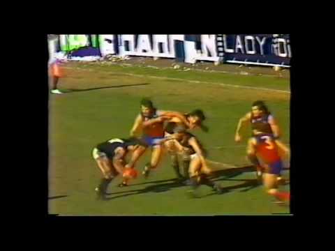 Fitzroy v Carlton 1981