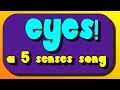 Eyes And Sight A 5 Senses Sing Along