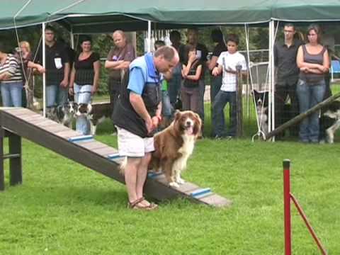 download lagu mp3 mp4 Of Maranns Home Border Collie, download lagu Of Maranns Home Border Collie gratis, unduh video klip Of Maranns Home Border Collie