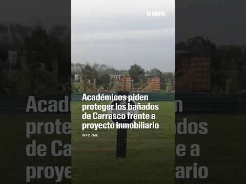 Académicos piden proteger los Bañados de Carrasco frente a proyecto inmobiliario privado