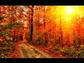 Herbstlied - Wenzel & Band 