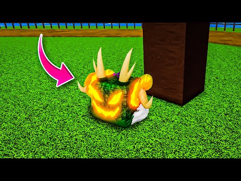 All Fruit Locations in First Sea Blox Fruits. How to find Blox Fruits for Free in 1st Sea. Guide.