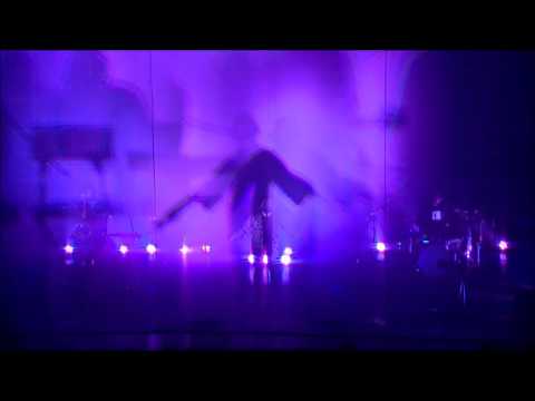 Plato's Dream Machine - Fidi (live)