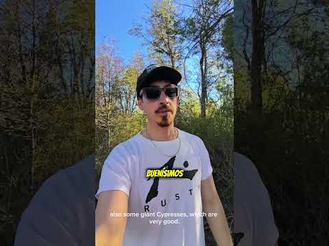 Dia 9: Chacras en Mallin ahogado - El Bolsón Rio negro.  #patagoniaargentina