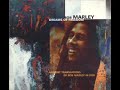 Bob Marley 🔥 No Woman No Cry (Bill Laswell Dreams Of Freedom Ambient Translations In Dub Remix)