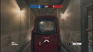 本日のハイライト