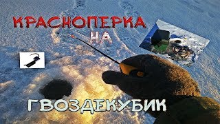 Ловля красноперки по первому льду