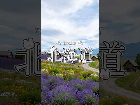 北海道探索：おすすめスポット紹介